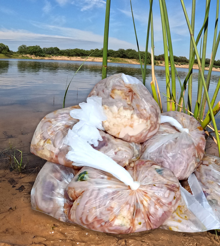 Tripa_de_Gallina_Buen_Pique 1