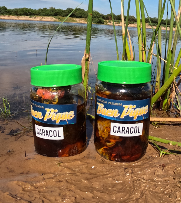 Caracol_Buen_Pique